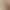 202505121529784